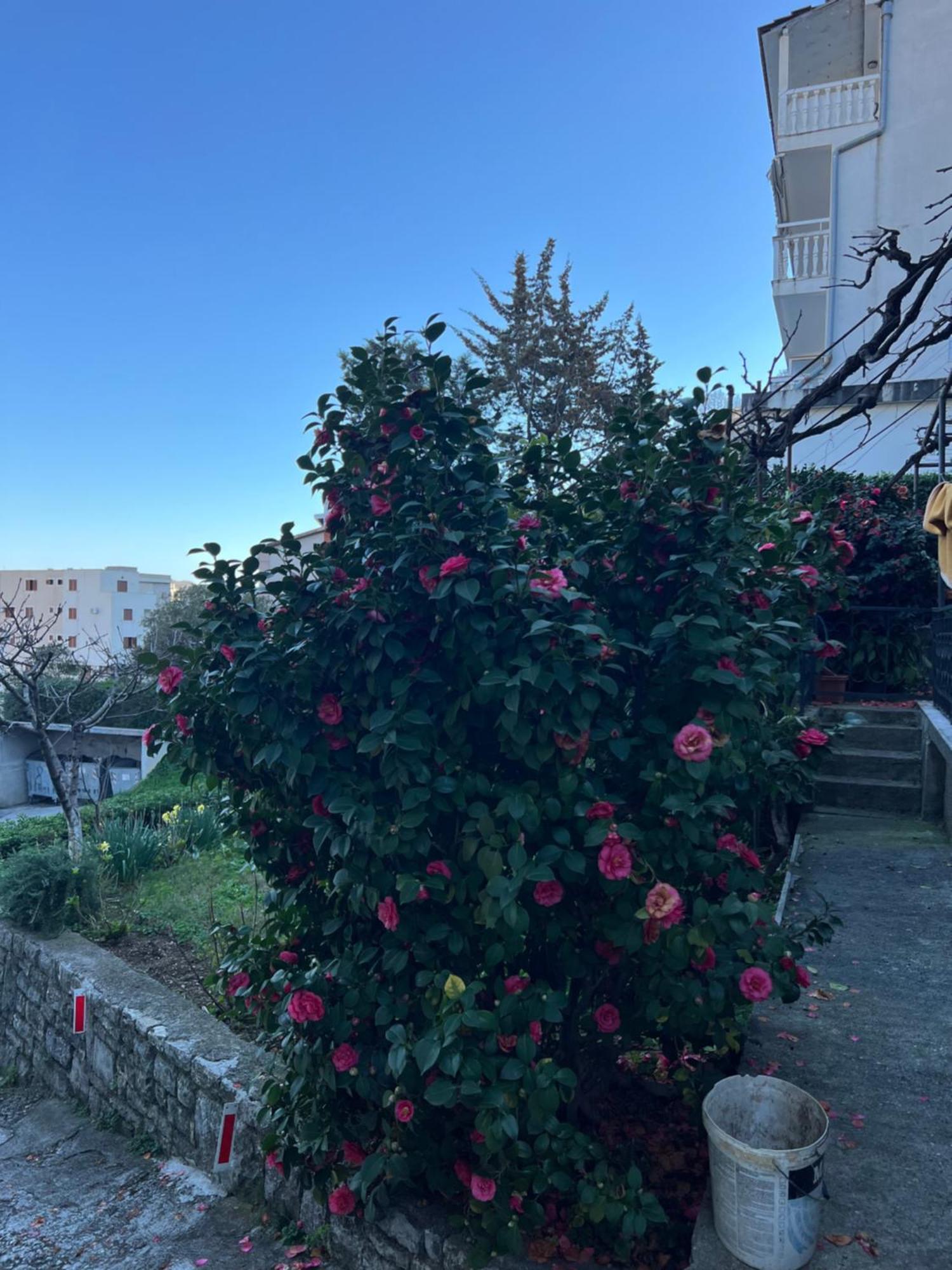 Guest House Plima 2 ブドヴァ エクステリア 写真