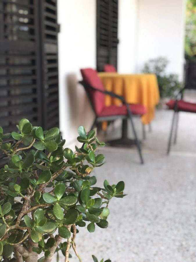 Guest House Plima 2 ブドヴァ エクステリア 写真