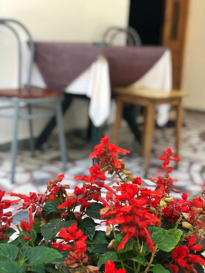 Guest House Plima 2 ブドヴァ エクステリア 写真